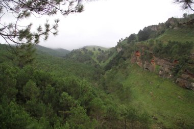 Gipuzkoa 'daki Jaizkibel Dağı' ndaki dağ manzarası, Bask Ülkesi, İspanya