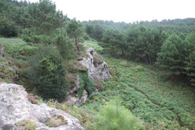 Gipuzkoa 'daki Jaizkibel Dağı' ndaki dağ manzarası, Bask Ülkesi, İspanya