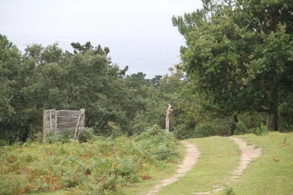 Bask bölgesindeki Jaizkibel Dağı 'nda ahşap av direği.