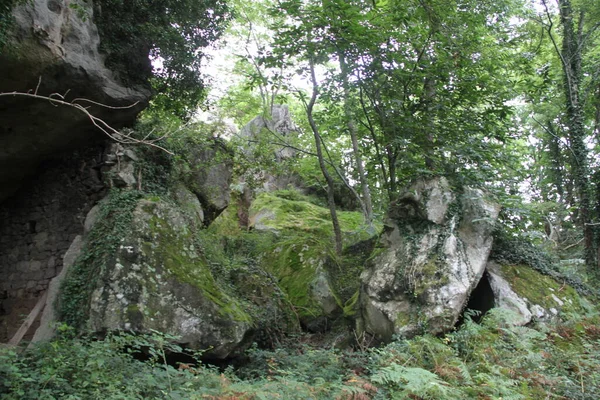 Landschaft Aus Kalksteinfelsen Und Höhlen Auf Dem Berg Jaizkibel Gipuzkoa — Stockfoto