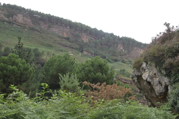 Gipuzkoa Daki Jaizkibel Dağı Ndaki Dağ Manzarası Bask Ülkesi Spanya — Stok fotoğraf