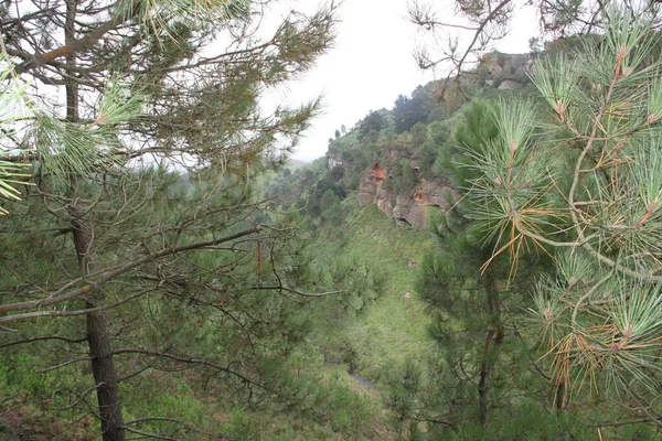 Gipuzkoa 'daki Jaizkibel Dağı' ndaki dağ manzarası, Bask Ülkesi, İspanya