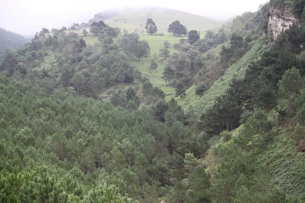 Gipuzkoa 'daki Jaizkibel Dağı' ndaki dağ manzarası, Bask Ülkesi, İspanya