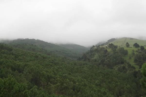 Paisagem Montanhosa Monte Jaizkibel Gipuzkoa País Basco Espanha — Fotografia de Stock