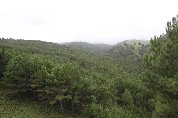 Paesaggio Montano Sul Monte Jaizkibel Gipuzkoa Paesi Baschi Spagna — Foto Stock