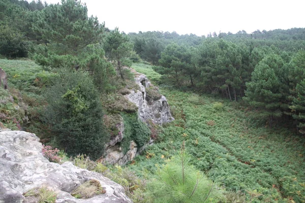Gipuzkoa 'daki Jaizkibel Dağı' ndaki dağ manzarası, Bask Ülkesi, İspanya