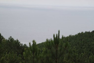 Bask ülkesindeki Jaizkibel Dağı 'nda yeşil doğa manzarası