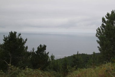 Bask ülkesindeki Jaizkibel Dağı 'nda yeşil doğa manzarası