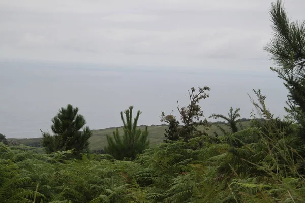 Zielony Krajobraz Przyrody Górze Jaizkibel Kraju Basków — Zdjęcie stockowe