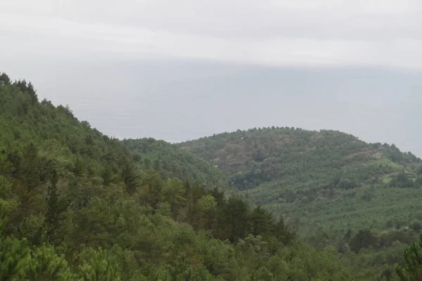 Grüne Naturlandschaft Auf Dem Jaizkibel Baskenland — Stockfoto