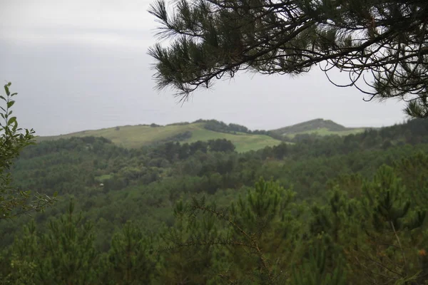 Grüne Naturlandschaft Auf Dem Jaizkibel Baskenland — Stockfoto