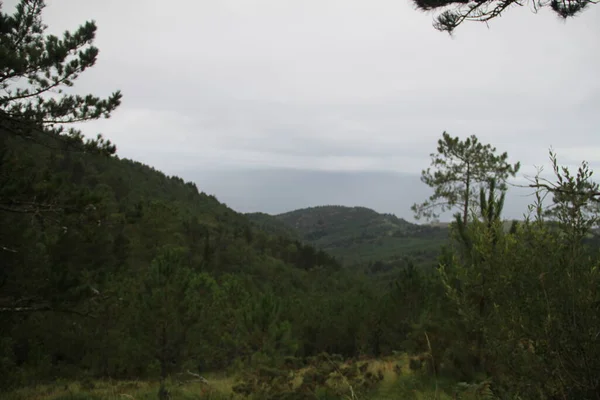 Paysage Naturel Verdoyant Sur Mont Jaizkibel Pays Basque — Photo