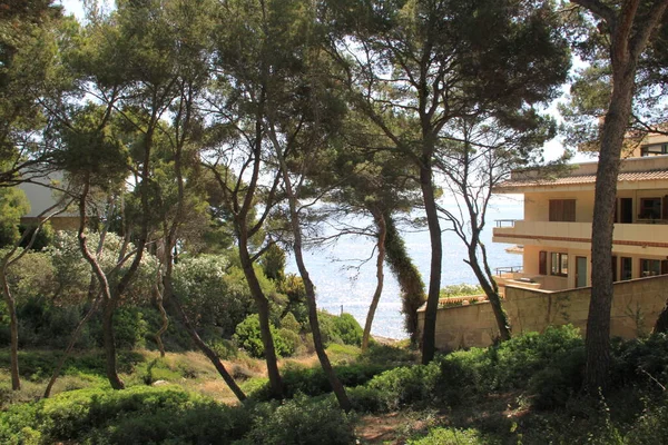Magaluf Majorka Baleary Hiszpania Lipca 2021 Krajobrazy Wybrzeża Majorki Niedaleko — Zdjęcie stockowe