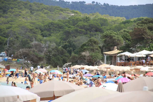 Cala Bassa Beach Club Ibiza Baleary Hiszpania Sierpnia 2021 Krajobraz — Zdjęcie stockowe