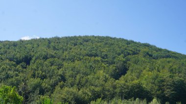 İspanya 'nın Bask Bölgesi' nde Guipuzkoa 'daki Sierra de Aralar' da kırsal ve dağ manzarası. Doğal alanlar Sürdürülebilir Turizm.
