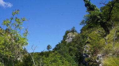 İspanya 'nın Bask Bölgesi' nde Guipuzkoa 'daki Sierra de Aralar' da kırsal ve dağ manzarası. Doğal alanlar Sürdürülebilir Turizm.