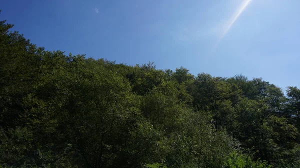 Landsbygd Och Bergslandskap Sierra Aralar Guipuzkoa Baskien Spanien Naturmiljöer Hållbar — Stockfoto