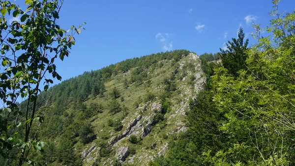 Ländliche Und Bergige Landschaft Der Sierra Aralar Guipuzkoa Baskenland Spanien — Stockfoto