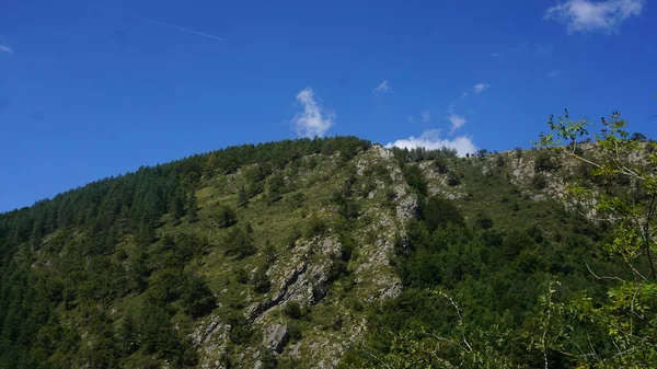 Сільський Гірський Ландшафт Сьєрра Аралар Гвіпускоа Країні Басків Іспанія Природний — стокове фото