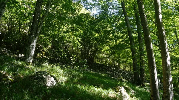 Rural Mountain Landscape Sierra Aralar Guipuzkoa Basque Country Spain Natural — Stock Photo, Image