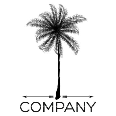 Örnek vektör palm logosu