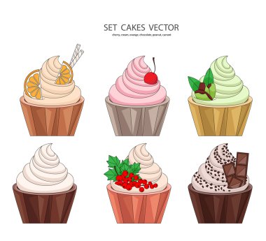 6 adet cupcakes seti