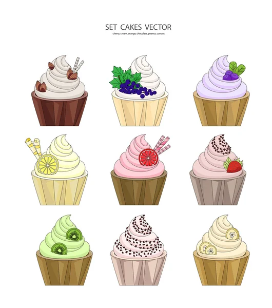 Set di 9 pezzi cupcake — Vettoriale Stock