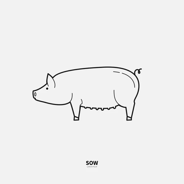 Ilustração de porco no fundo cinza —  Vetores de Stock