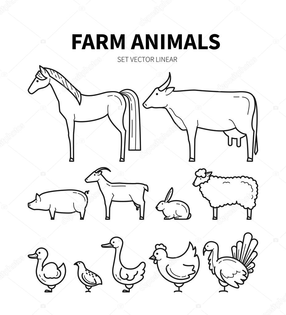 Set of farm animals drawn in modern linear style. Farming icons. Animal symbols