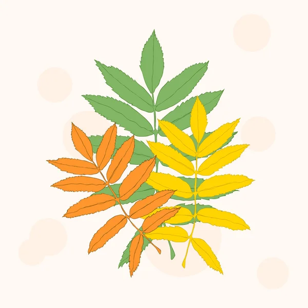 Composición otoñal de tres hojas de fresno — Vector de stock