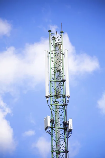 Un pájaro en la torre del teléfono celular con cielo azul — Foto de Stock