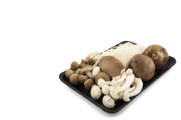 Misture o cogumelo na placa de plástico preto no fundo branco — Fotografia de Stock