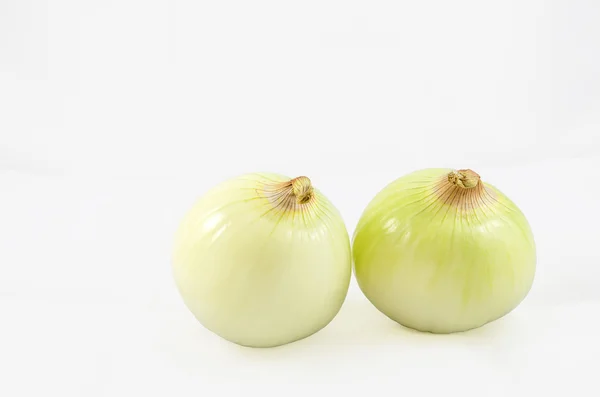 Dos cebollas sobre fondo blanco —  Fotos de Stock