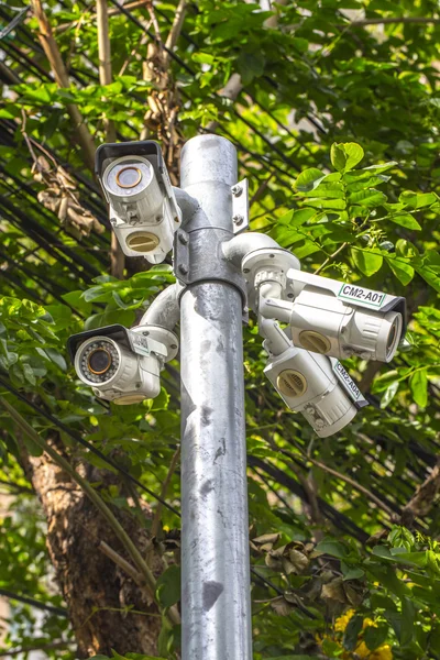 Flera vinkel utomhus Cctv kamera på stolpen nära trädet — Stockfoto