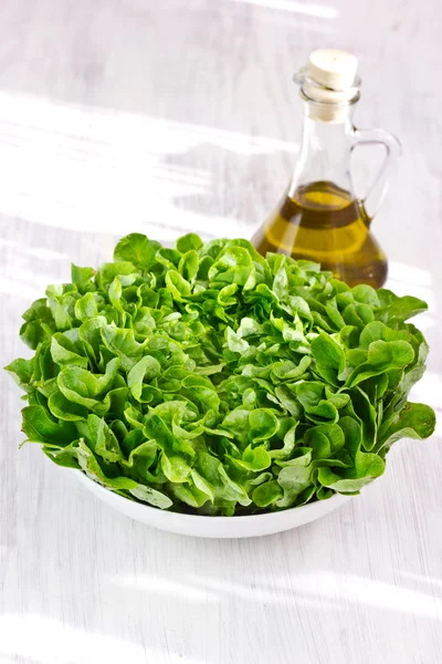 Fresh lettuce salad and olive oil, selective focus — Stock Photo, Image