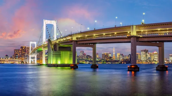 Widok Panoramiczny Panoramę Tokio Wieczorem Tokio Japonia — Zdjęcie stockowe