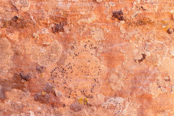 Textura de rocha vermelha — Fotografia de Stock