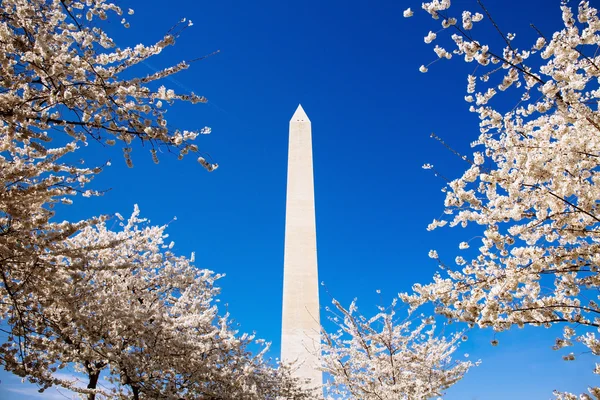 Monumento a Washington —  Fotos de Stock