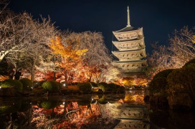 Toji Tapınağı, ışık gösterisi, Kyoto, Japonya. Sonbahar mevsiminde bir gecede uzun pozlama fotoğrafı.