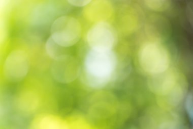 bulanık yeşil bokeh arka plan.