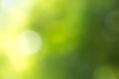 bulanık yeşil bokeh arka plan.