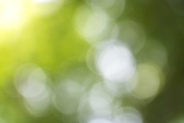 bulanık yeşil bokeh arka plan.