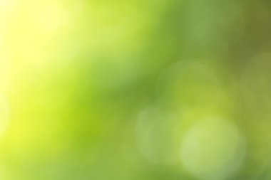 bulanık yeşil bokeh arka plan.