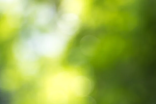 Grüner Bokeh verschwommener Hintergrund. — Stockfoto