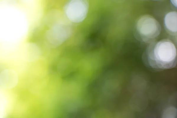 Grüner Bokeh verschwommener Hintergrund. — Stockfoto