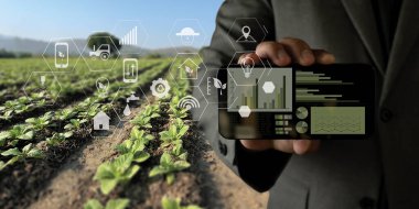 Tarım teknolojisi konsepti adamım. Bir Tablet İnternet kullanan Agronomist