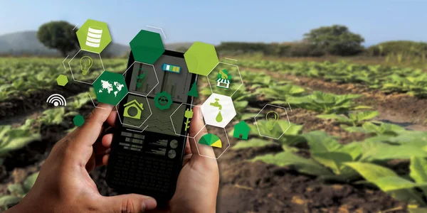 agriculture technology concept man Agronomist Using a Tablet Internet of things report