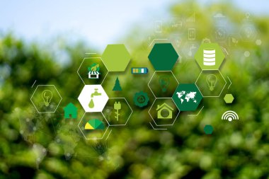 Tarım Teknolojisi Konsepti Tarım Alanında Tablet Kullanan Agronomist bir rapor okudu