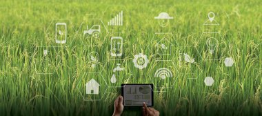 Tarım Teknolojisi Konsepti Tarım Alanında Tablet Kullanan Agronomist Yapay Zeka Öğrenme Teknolojisi 5G entegre edilmiş bir rapor okudu