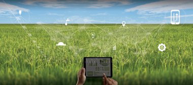 Tarım Teknolojisi Konsepti Tarım Alanında Tablet Kullanan Agronomist Yapay Zeka Öğrenme Teknolojisi 5G entegre edilmiş bir rapor okudu
